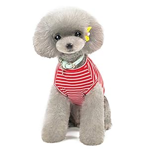 Huisdier Heroic Kleine Hond Kat Puppy Gebreide Jumper Sweater Kleding Comfortabele Kleine Hond Jumper Kat Trui Puppy Sweater Kleding voor Kleine Honden Katten Puppy Roze Rood Blauw Grijs Gras – Gewicht 1.2-9.0 KGS, X-Large