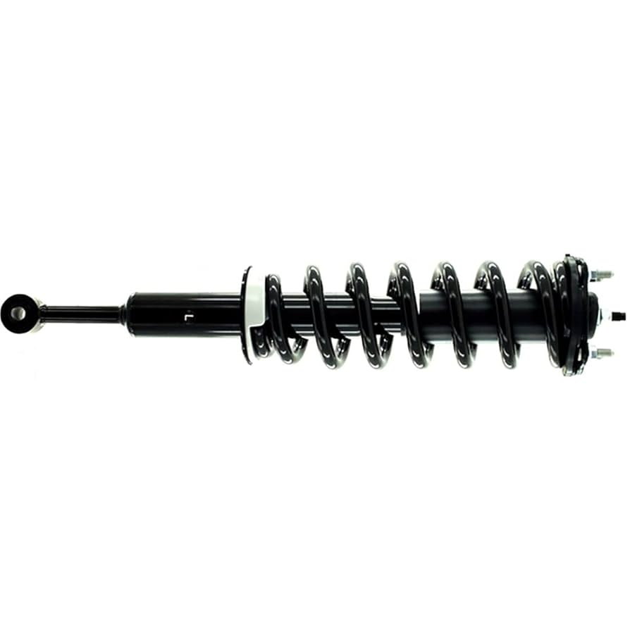Amazon.com: AUTO DN 4 Shocks and Struts Front Struts and