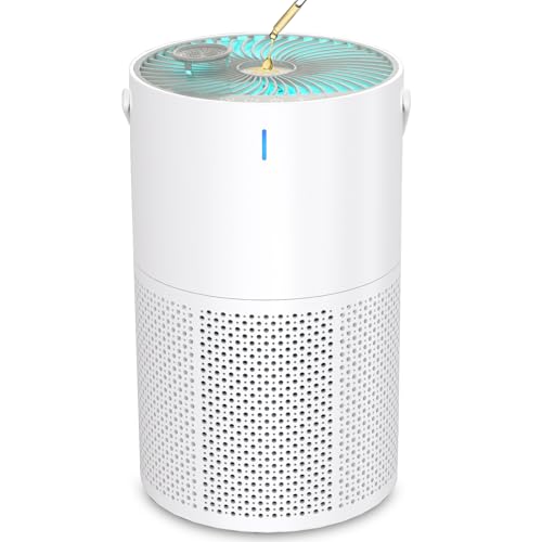 Air Purifier for Home Large Room up to 1095 Sq Ft, H13 True HEPA Filter for Allergies, Smoke, Odor, Pets, Dust, Quiet Sleep Mode, Timer, Air Purifiers for Home Bedroom Office