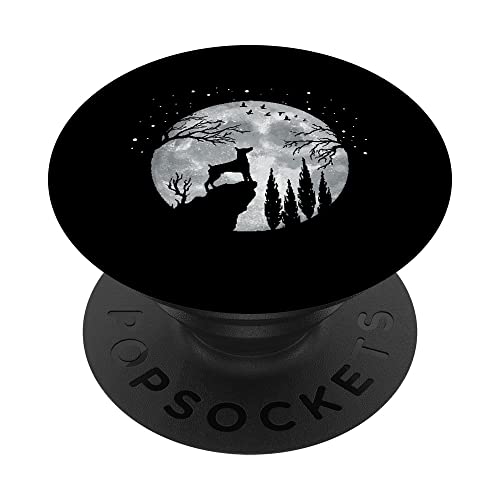 PopGrip con un Top Intercambiabile; cambia il tuo PopTop per un altro disegno o rimuovilo completamente per funzionalità di ricarica wireless. (Non compatibile col caricabatterie wireless MagSafe di Apple o portafoglio MagSafe).