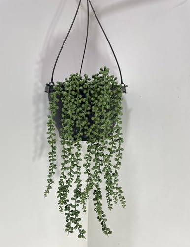 Best Artificial Hanging Plants for Your Home 47 Artificial Succulent Plants 20" Fake Hanging Pearls Plant String ...
