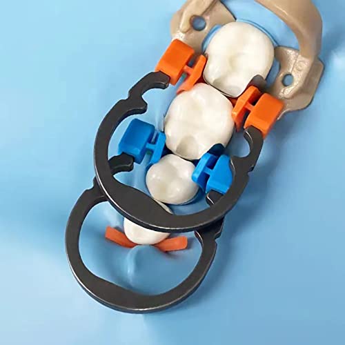 Image of Dental Sectional Matrix Ring Clamp Spring Clip, Autoclavable Nickel Titanium Orthodontic Clamp Rings, Contoured Matrices System for Pre and Post Molars. (R2 Orange)