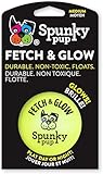 Spunky pup Fetch & Glow Ball Medium, (Assorted)