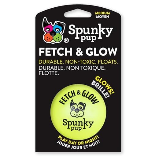 American Dog Toys Fetch & Glow Jr. Ball, Medium