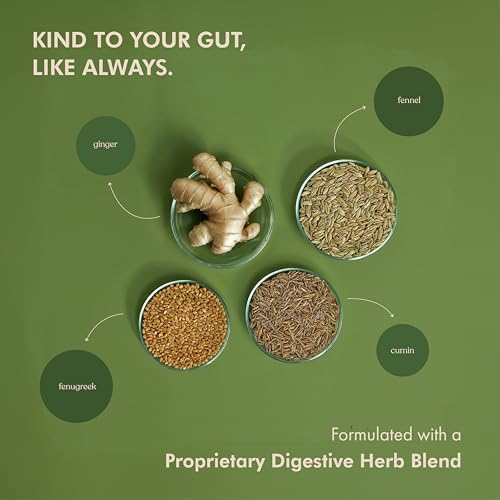 Image of Cosmix No-Nonsense Plant Protein LITE For Beginners | 16g Protein /Serve, 450g Pouch | Indonesian Cacao (Chocolate) | Plant Based Protein, Pea & Rice Isolate | Clean, Easy to Digest | All Essential Amino Acids