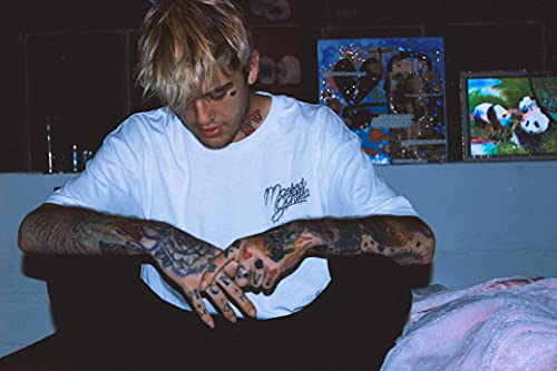 Sweetums Signatures Tiktok Life Emo Rap Lil PEEP Music Poster 16x25 Inch Frameless Gift Wall Decor
