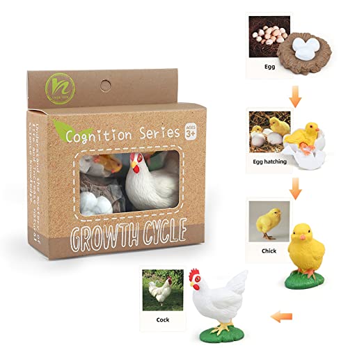 Montessori Life Cycle Animal Figures with Flash Cards, Realistic Animal Plant - Bild 51 von 71
