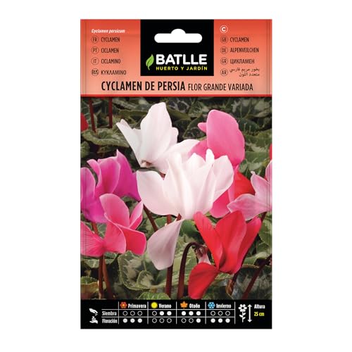 Semillas Batlle Cyclamen PERSIA Variado
