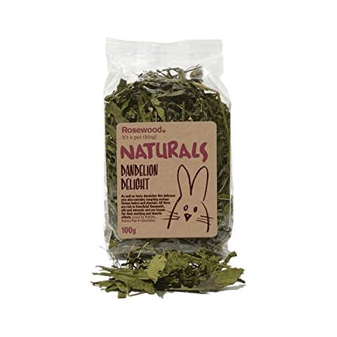 Rosewood Naturals Dandelion Delight Treats for Small Animals Cover