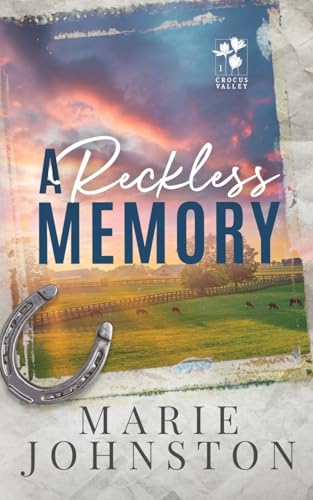 A Reckless Memory view 2