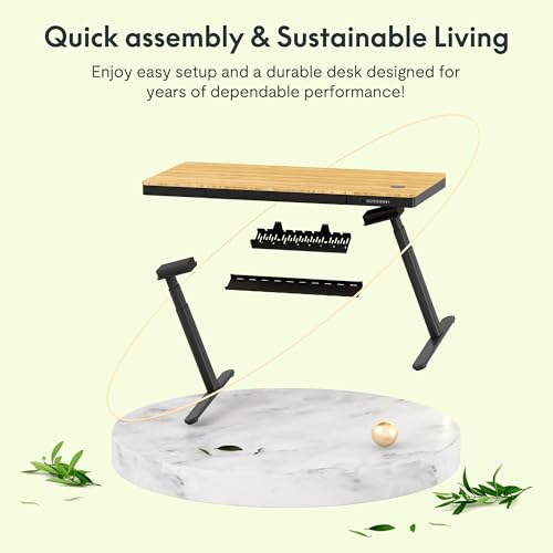Image of FLEXISPOT Q8 55 inch Bamboo Standing Desk, Dual Motor 3 Stages Adjustable Height Electric Computer Workstation w /Wireless Charging, Drawer, Quick Install, 220lbs Capacity (Bamboo Tabletop + Black Frame)