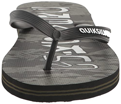 Quiksilver Men's Molokai Acid Drop Flip-Flop2