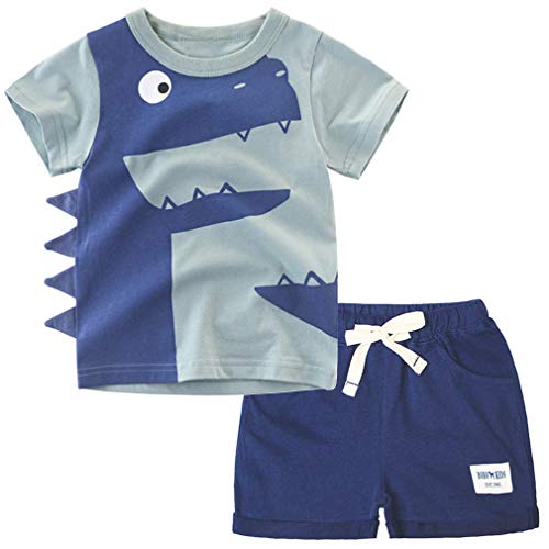 Image of Little Boys Shorts Set Toddler Boys 100% Cotton Summer Short Sleeve T-Shirts and Shorts Clothing Sets 2PCS