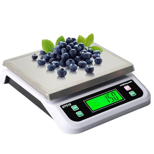 Bilancia da Cucina Professionale 40kg