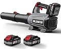 Leaf Blower Cordless (Upgraded) - 630CFM/160MPH, 21V Powerful Electric Cordless Leaf Blower with 2 x 4.0Ah Batteries and Charger, Battery Powered Leaf Blowers for Lawn Care, Patio, Yard, Dust, Snow