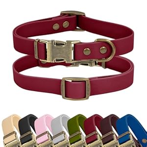 Wisedog Rubber Dog Collar for Medium Dogs – Waterproof Dog Collar with Quick Release Metal Buckle Easy to Clean Puppy Collar for Outdoor Use, Burgundy(M:12″-18″)