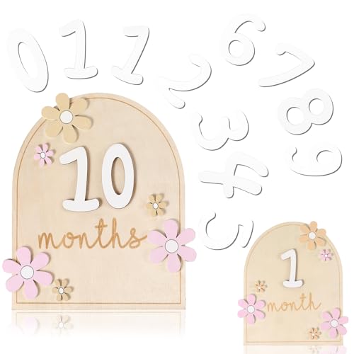 Beeveer Baby Monthly Milestone Cards with 11 Interchangeable Number Set of 12 for Baby Growth Recording Daisy Wooden Bohemian Milestone Blocks Months Signs Photo Props