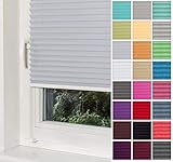 Home-Vision® Premium Plissee Faltrollo ohne Bohren mit Klemmträger / -fix (Silber, B85cm x H100cm) Blickdicht Sonnenschutz Jalousie für Fenster & Tür