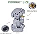 Cyhiyolies Solar Dog Statue with Butterfly – Outdoor Garden Decor for Home, Patio, Yard, Balcony, or Porch – Ideal Gifts for Women, Mom, Grandma – Housewarming Surprise