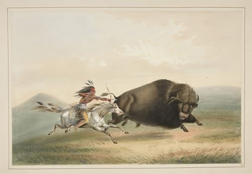 Toile George Catlin Chasse - Impression peinture murale salon 60x90cm