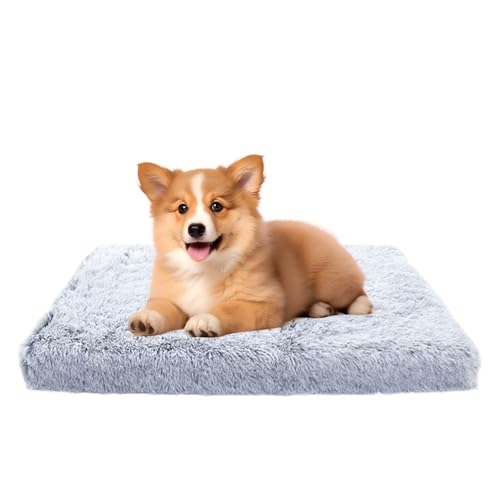 Coussin de lit auto-chauffant pour chats contre le froid du sol en intérieur