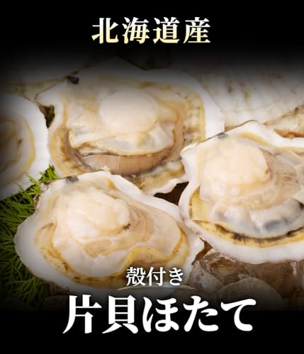 北海道きたれん ほたて 片貝 殻付き 10枚 の商品画像 1