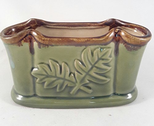 Lucky Bamboo - Ceramic Vase 3.5L x 2 W x 3.25H inches unique