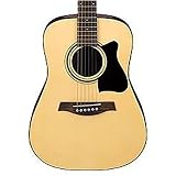 Ibanez IJV30 Acoustic Guitar Jam Pack