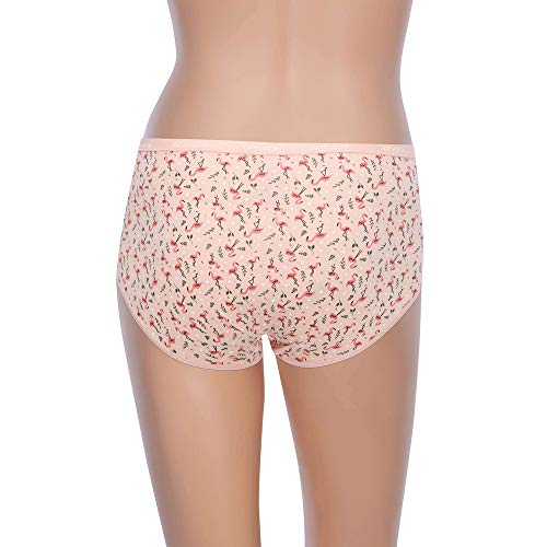 Image of Amante Printed Cotton Full Brief Panty Pack(Pack of 3)