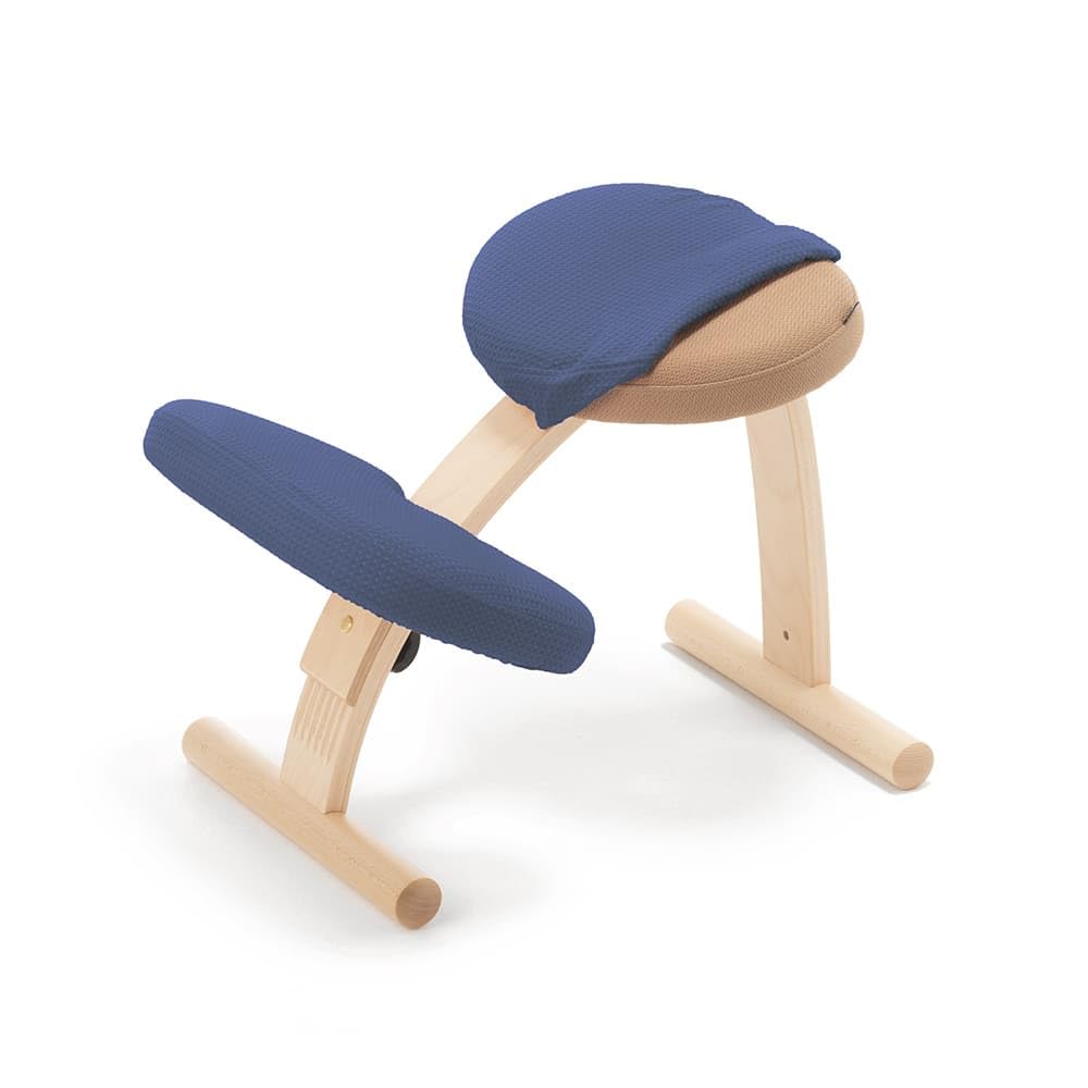 サカモトハウスバランスイージー通常フレーム青ブルーカバー付き