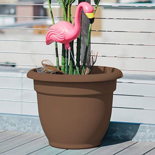 Bloem 20-56308Ch Ariana Self Watering Planter, Chocolate, 8", Browns #TOP1