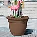 Bloem 20-56308CH Ariana Self Watering Planter, Chocolate, 8