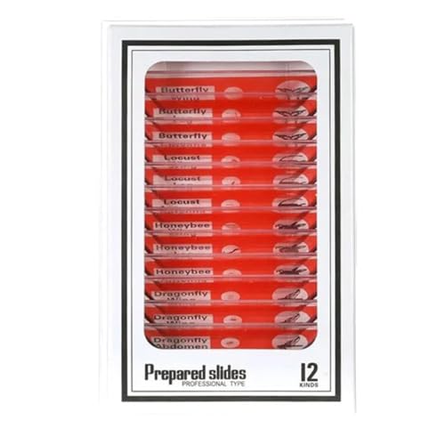 Lbg vX`bNXCh Tv ANZT YA_v^[(1)