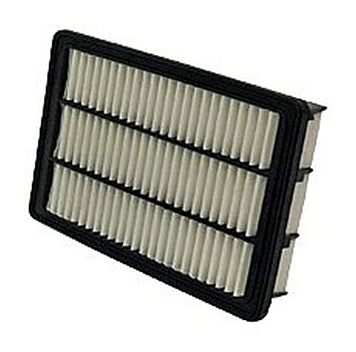 WIX 49191 Air Filter Panel