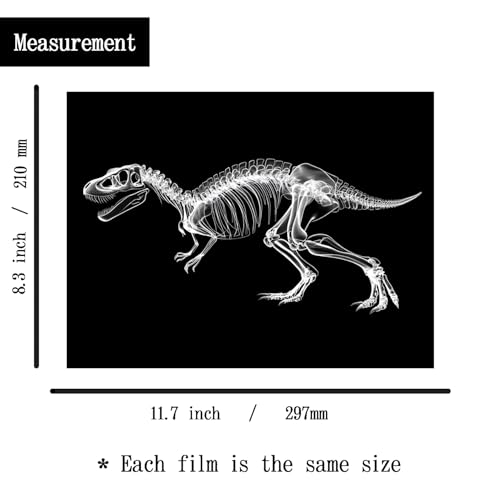Animal X-Ray Set, Educational Science Kit, Light Table Accessory for Children (Dinosaurs)