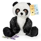 Bamboo Panda - Microwavable & Weighted Plush Stuffed Animal - Heated Plushie for Warmth - Cute, Soft, Cozy Toy for Adults & Children (Boys, Girls, & Toddlers) by Warm Pals