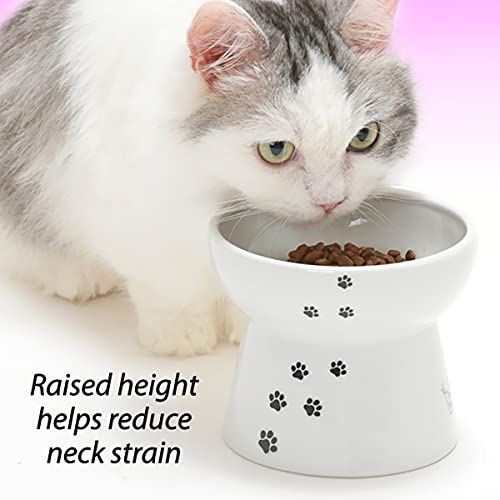 Necoichi Raised Stress Free Cat Food Bowl, Elevated, Backflow Prevention, Dishwasher And Microwave Safe, No.1 Seller In Japan! (Cat, Large) #TOP6