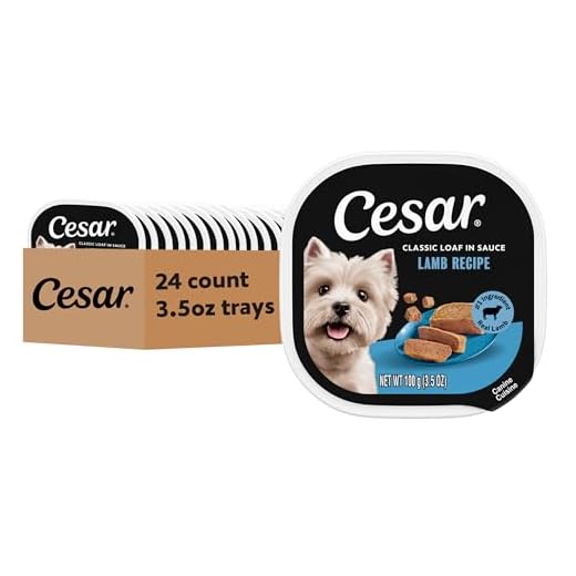 Cesar Classic Loaf in Sauce Adult Wet Dog Food Lamb Recipe, 3.5 oz. Easy Peel Trays, 24 Count (Pack of 1)