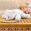 polar bear