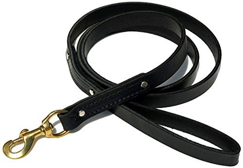 Ray Allen Mfg Signature K9 Heavy Leather Leash, 6-Feet x 7/8-Inch, Black