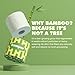 Bamboo Toilet Paper, 3-Ply & 380 Sheets, Soft & Strong Organic Bath Tissue, Chemical-Free & Hypoallergenic, Septic Safe, PFAS-Free, Tree-Free Bathroom Tissue (12 Extra-Large Rolls)