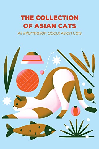 The Collection of Asian Cats: All Information about Asian Cats: Asian Cat