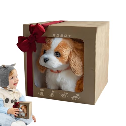 y2025VŁz{bg  q^ybg{bg mIȒ AIF Aȓ /qǂ EH[LOEo[LOEېU@\ \tgf ̐^  G ₵ j̎q ̎q a NX