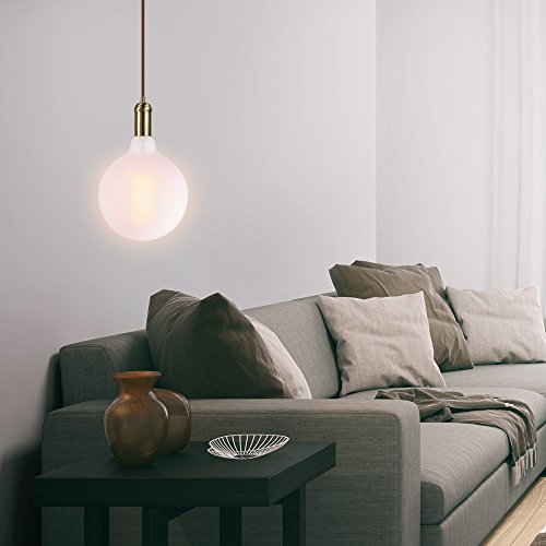 Globe Electric 80131 Oversized Frosted Vintage Edison Round 60W Dimmable Incandescent Light Bulb, Clear #TOP2