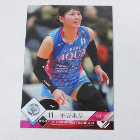 計10点セット】 東レアローズ滋賀 グッズ 小山愛実 他多数 女子バレー