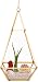 Mindful Design Glass Terrarium - Geometric Large Diamond Desktop Garden Planter (Gold)