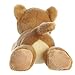 Aurora® Adorable Mini Flopsie™ Leah Lioness™ Stuffed Animal - Mini Companions Ready for Playful Adventures - for Kids All Ages, Toddlers, Adults, and Families - Brown 8.5 Inches