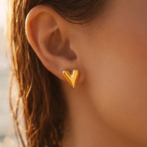 Image of Rubans Demi Fine Stainless Steel Stud Earrings Daily Gift for Women & Girls