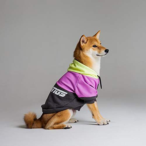 Moletom com Capuz para Cães, Dog Wings, Hoodie Racing, Rosa, P