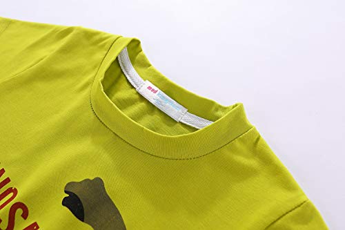 Image of LittleSpring Boys Summer 2piece Outfits Short Sleeve T-Shirt and Shorts Set